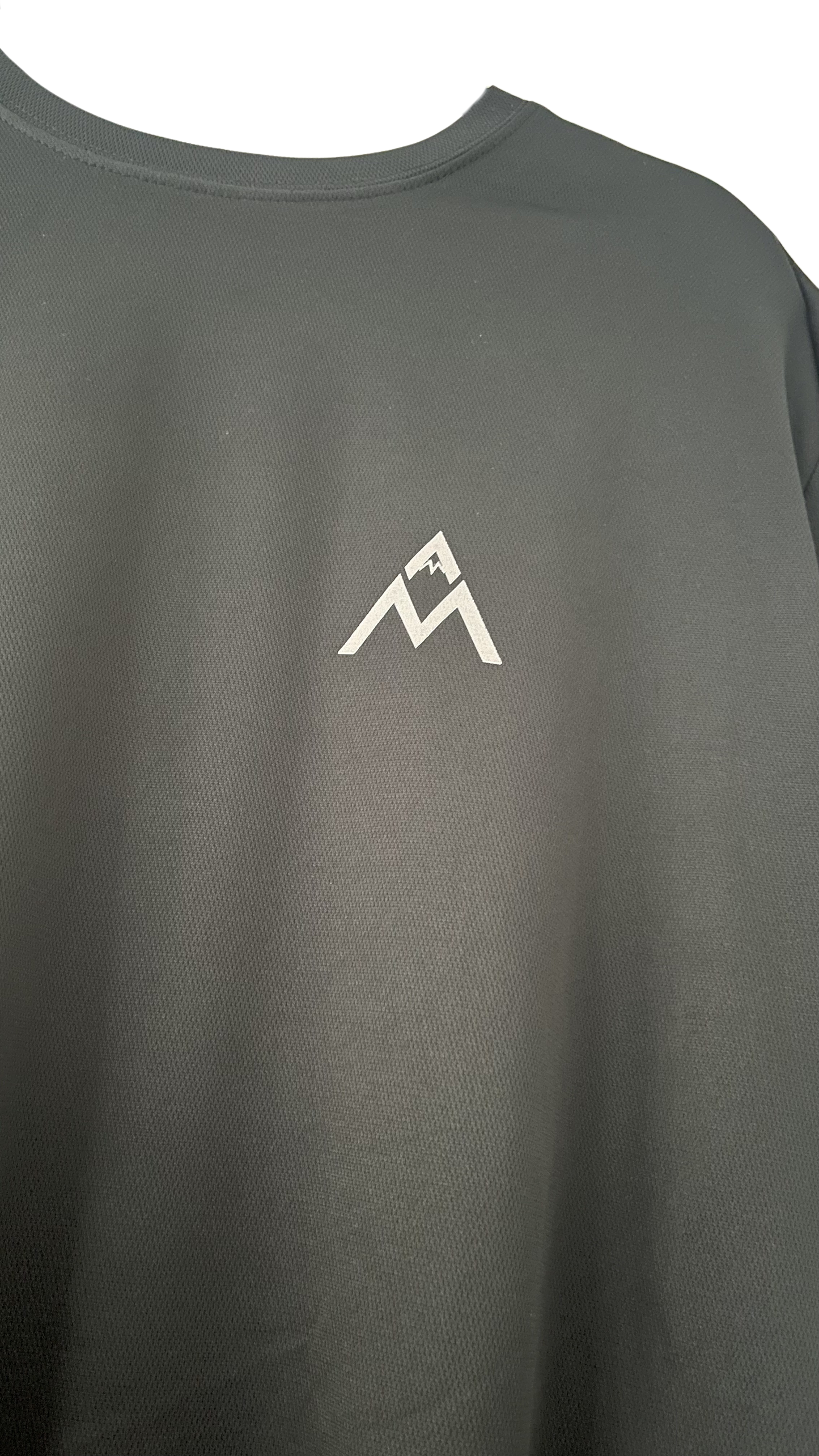 AM Active T Grey Logo (2025)